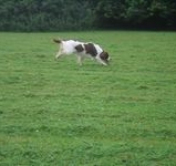 click for a larger view